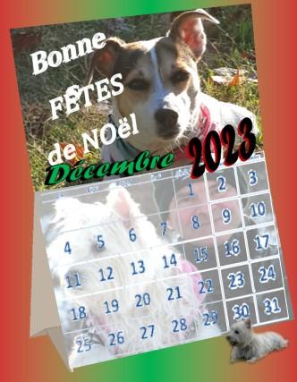 calendrier 